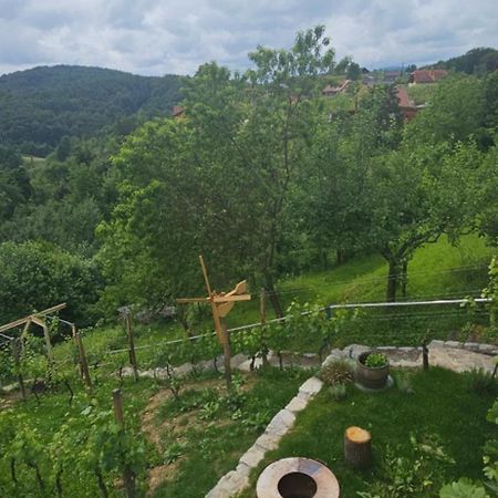 Villa Zidanica Muhic Dolenjske Toplice Esterno foto