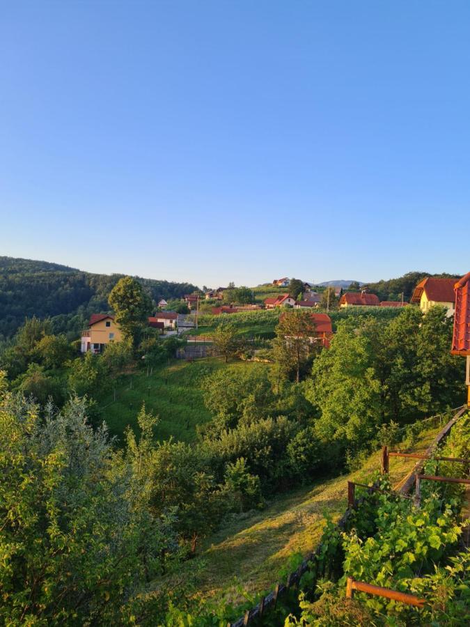 Villa Zidanica Muhic Dolenjske Toplice Esterno foto